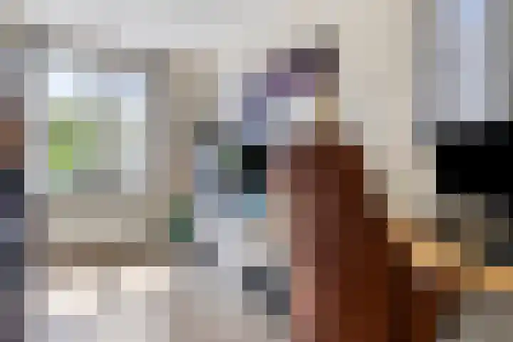 Zuidkade 51 A Boskoop thumbnail 17