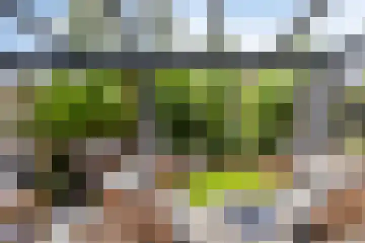 Zuidkade 51 A Boskoop thumbnail 25