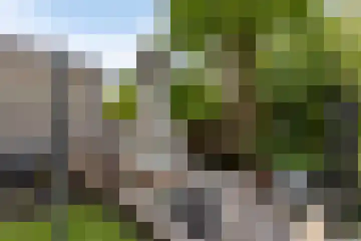 Zuidkade 51 A Boskoop thumbnail 26