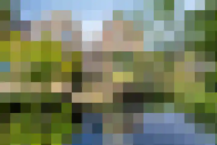 Zuidkade 51 A Boskoop thumbnail 31