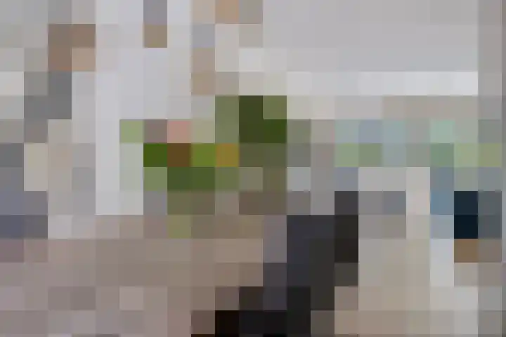 Zuidkade 51 A Boskoop thumbnail 7