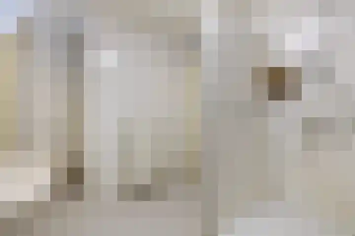 Zuidkadering 14 Waddinxveen thumbnail 30