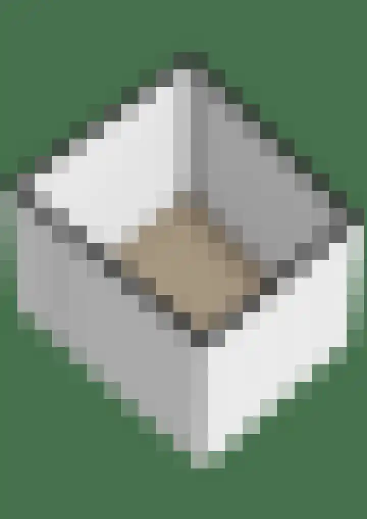 Zuidkadering 14 Waddinxveen thumbnail 43