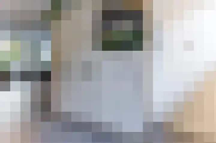Zuidkadering 7 Waddinxveen thumbnail 10