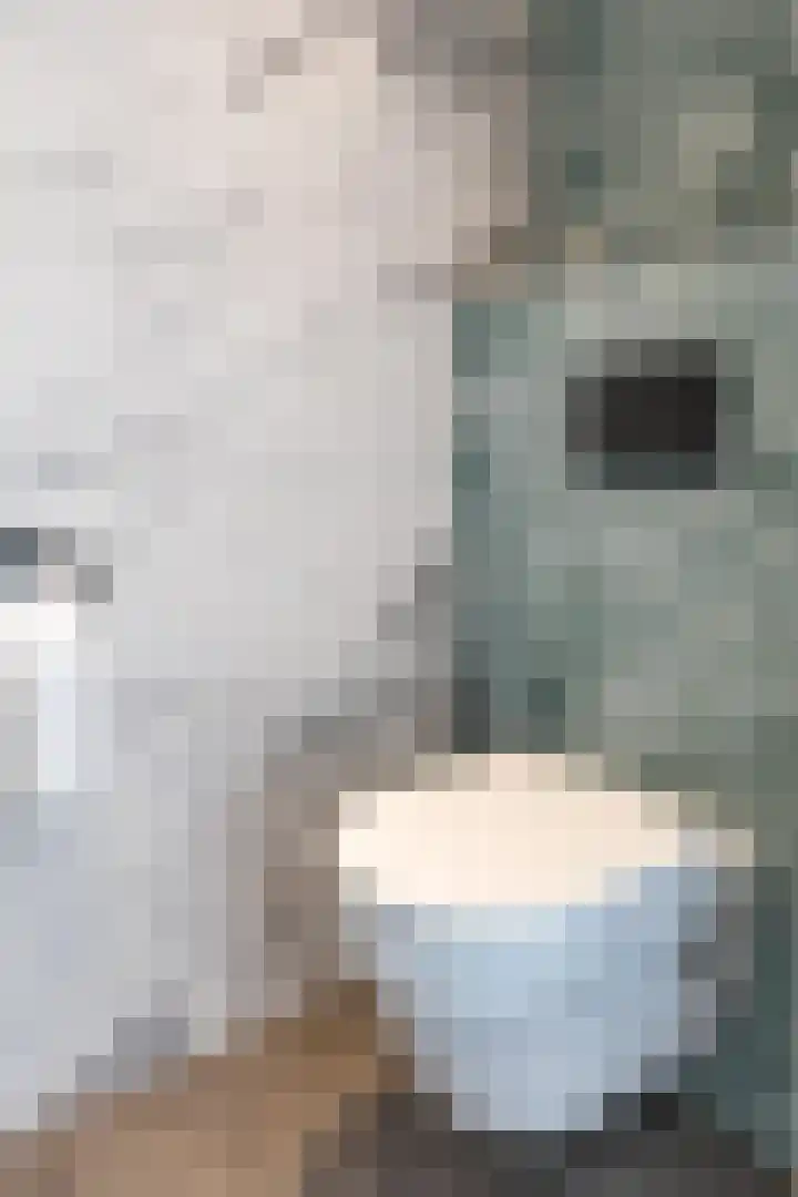 Zuidkadering 7 Waddinxveen thumbnail 14