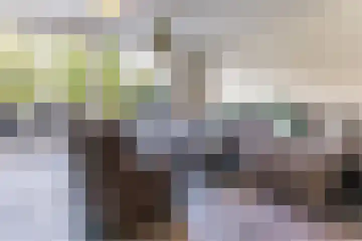 Zuidkadering 7 Waddinxveen thumbnail 6