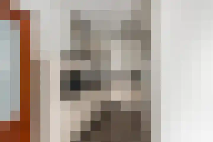 Zuidmade 12 Delft thumbnail 8