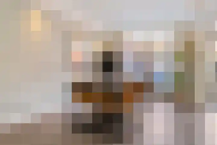 Zuidoosterfront 98 's-Hertogenbosch thumbnail 10