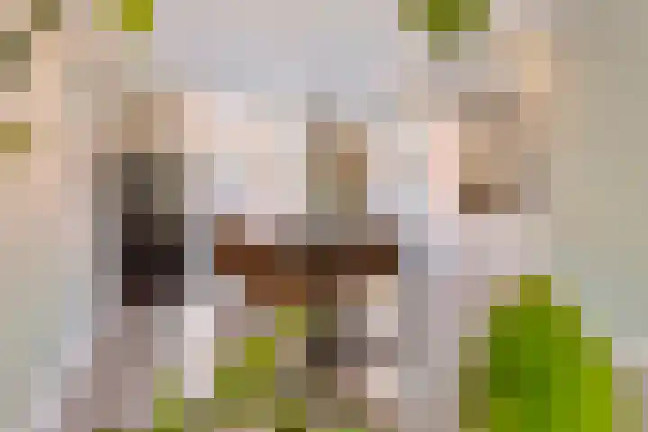 Zuidoosterfront 98 's-Hertogenbosch thumbnail 13
