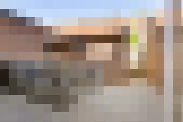 Zuidoosterfront 98 's-Hertogenbosch thumbnail 5