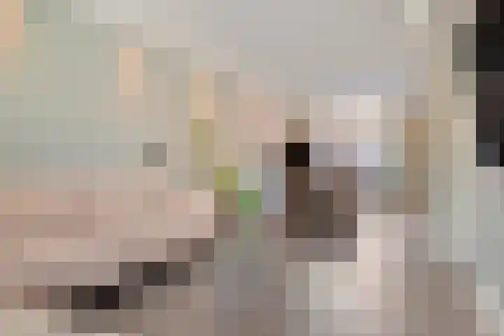 Zuidoosterfront 98 's-Hertogenbosch thumbnail 8