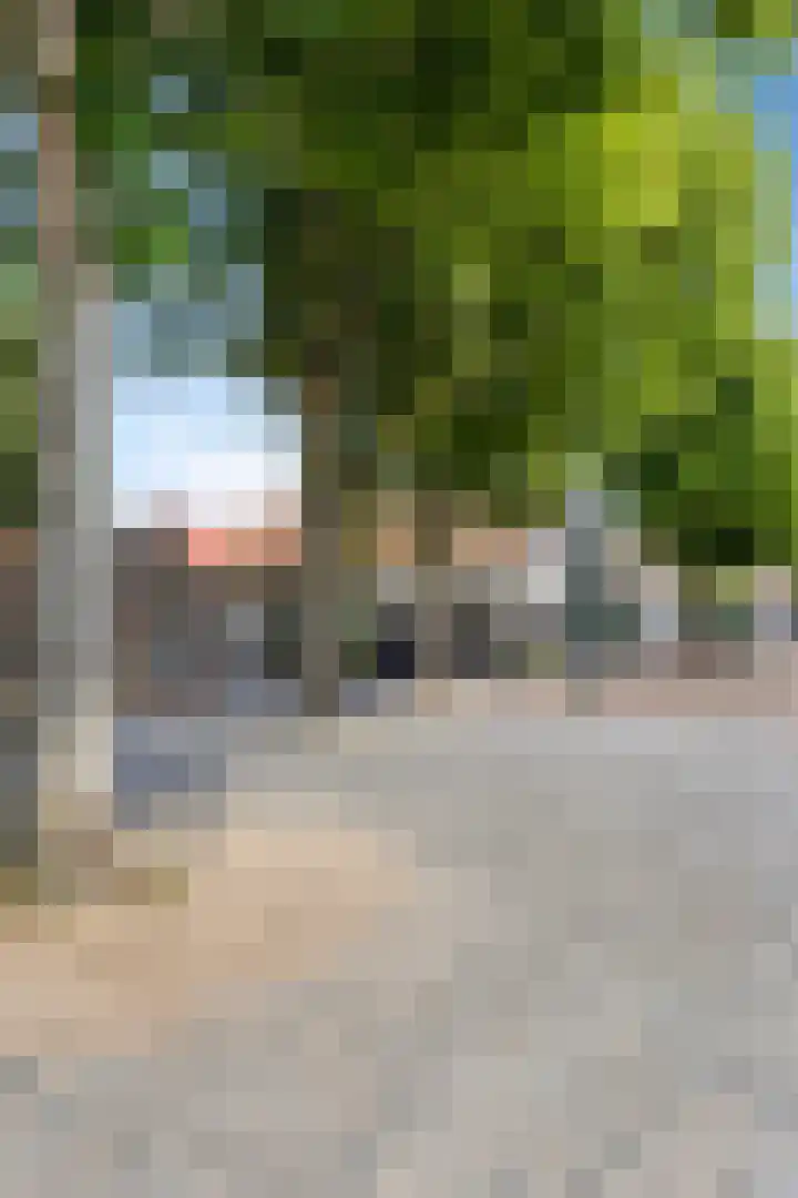 Zuidstraat 1 Burgh-Haamstede thumbnail 31