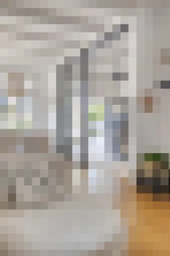 Zuidstraat 1 Burgh-Haamstede thumbnail 8