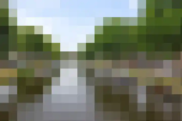 Zuidstraat 12 E Den Helder thumbnail 38