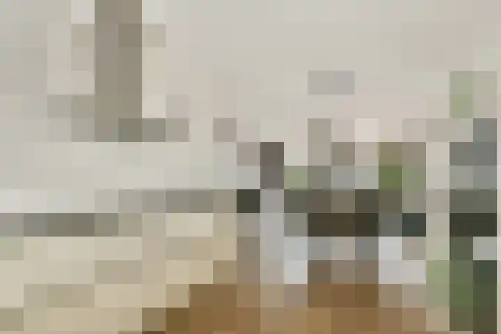 Zuidveldt 18 Zoeterwoude thumbnail 11