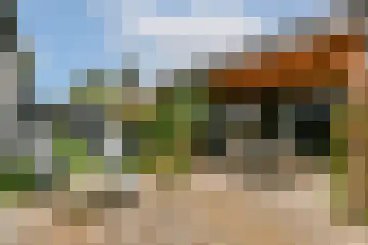 Zuidveldt 18 Zoeterwoude thumbnail 12