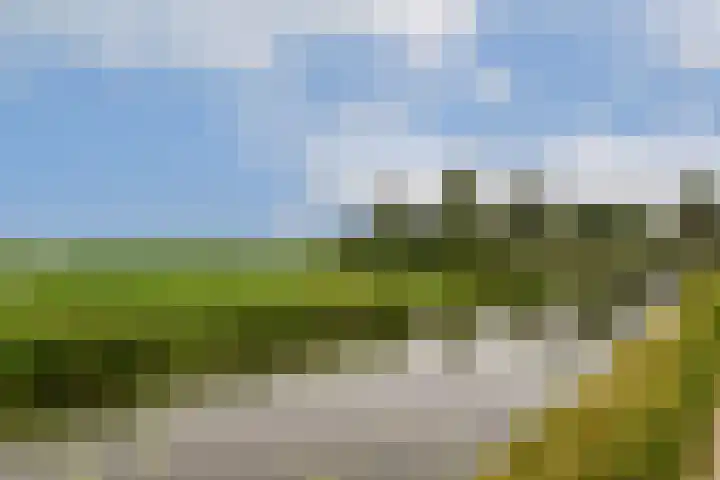 Zuidveldt 18 Zoeterwoude thumbnail 27