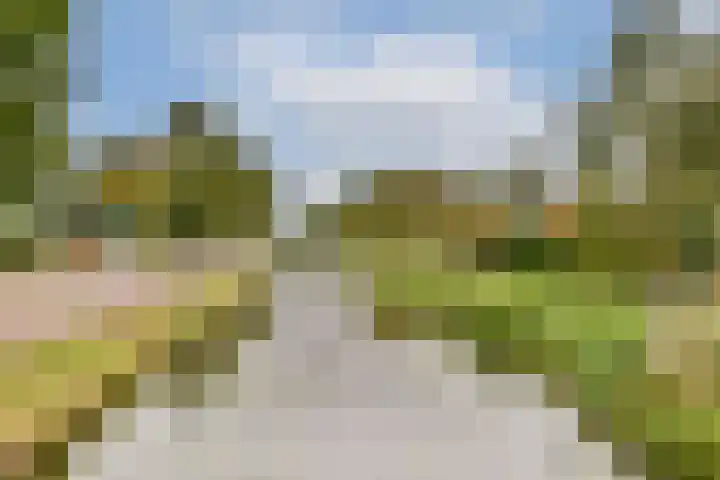 Zuidveldt 18 Zoeterwoude thumbnail 28