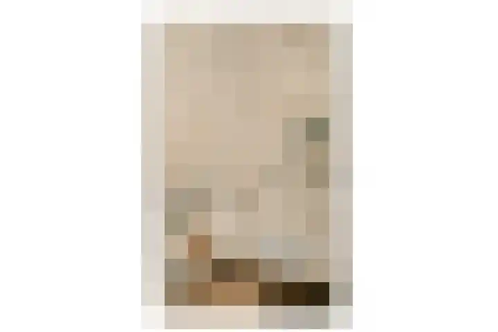 Zuidveldt 18 Zoeterwoude thumbnail 4