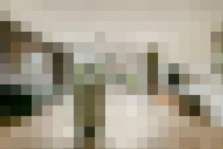 Zuidveldt 18 Zoeterwoude thumbnail 7