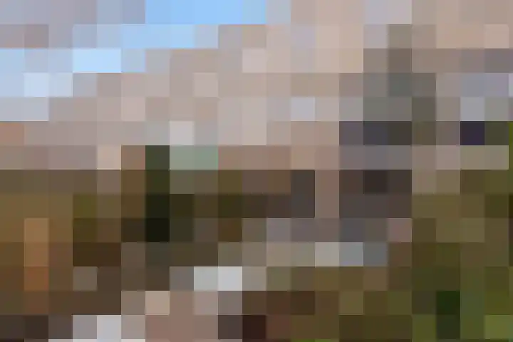 Zuidvliet 113 Maassluis thumbnail 22