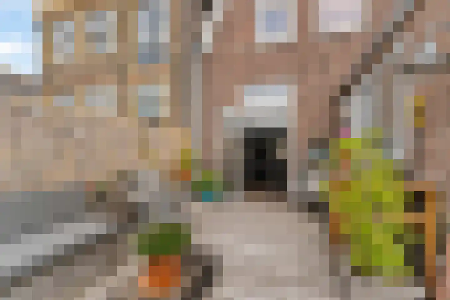 Zuidvliet 9 A Maassluis thumbnail 5