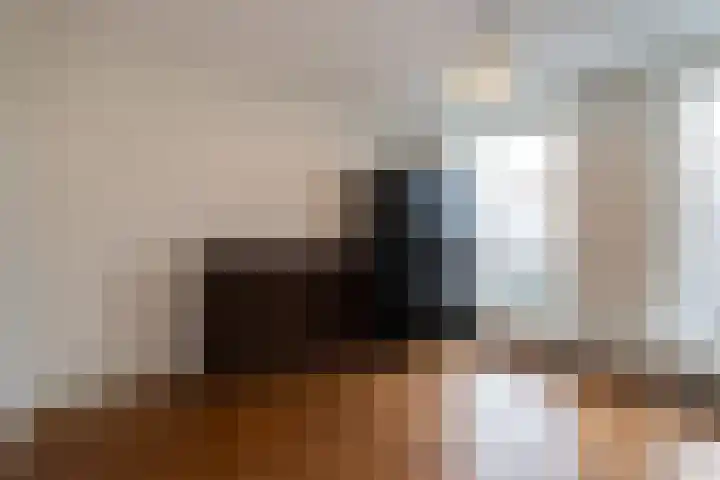 Zuidwal 11 Den Haag thumbnail 15