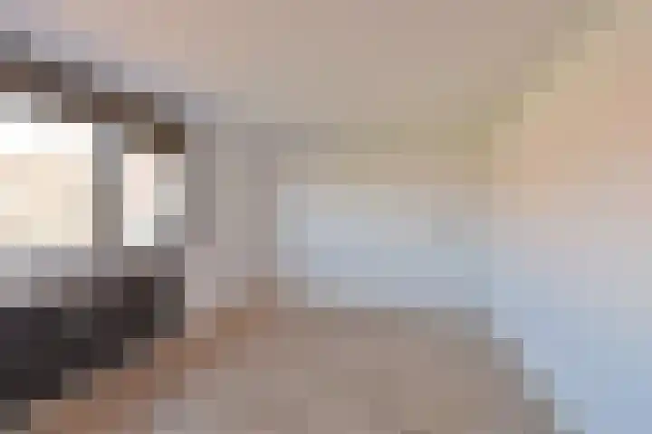 Zuidwal 129 Huizen thumbnail 12