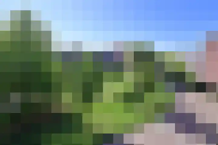 Zuidwal 129 Huizen thumbnail 15