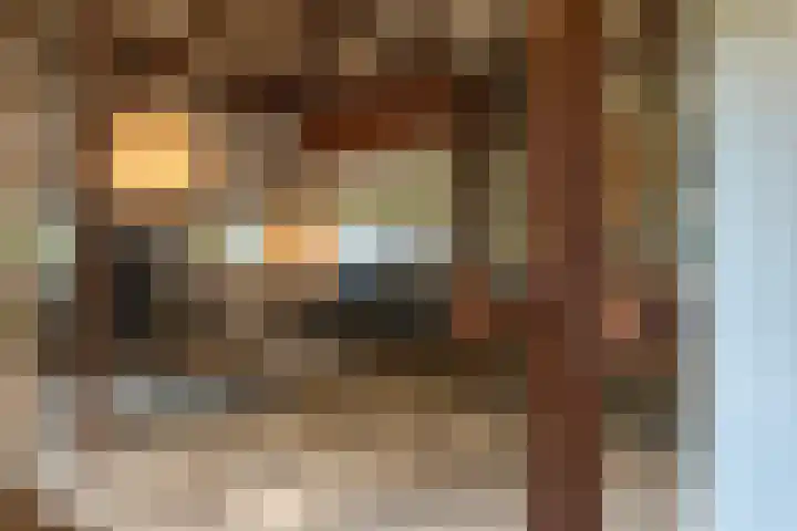 Zuidwending 1 Vriescheloo thumbnail 12