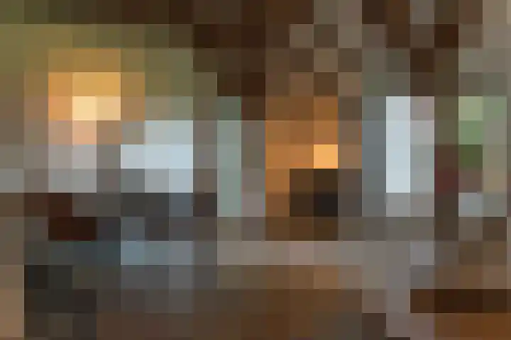 Zuidwending 1 Vriescheloo thumbnail 13