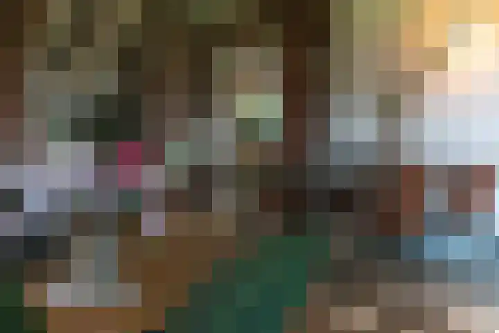 Zuidwending 1 Vriescheloo thumbnail 14
