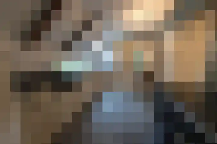 Zuidwending 1 Vriescheloo thumbnail 17