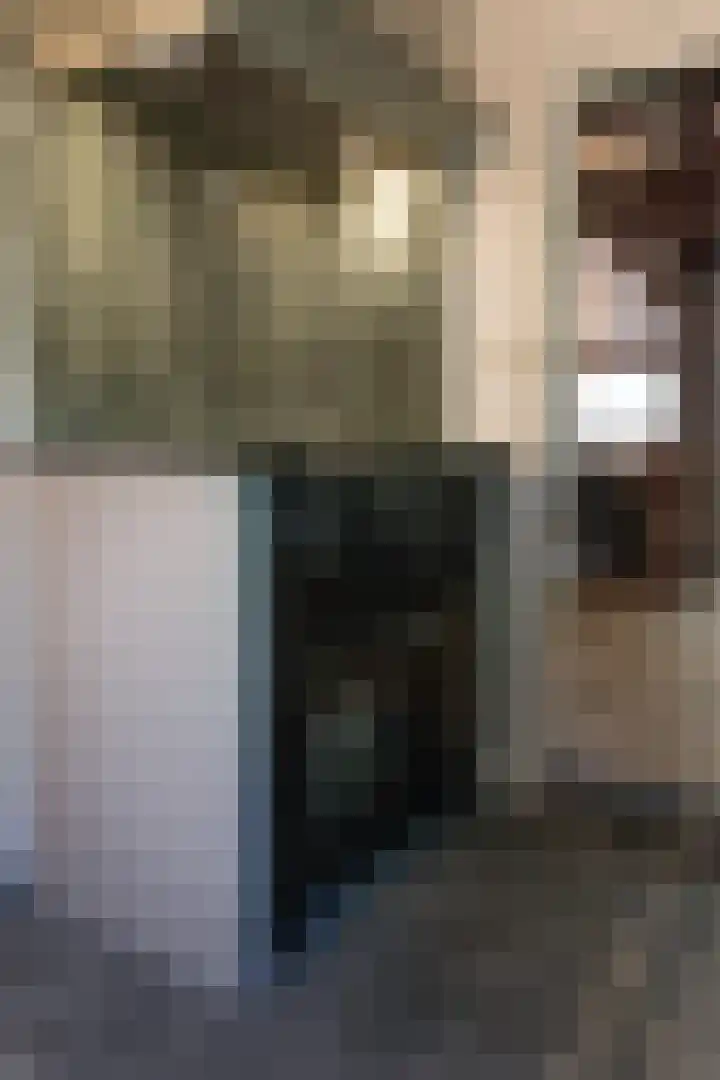 Zuidwending 1 Vriescheloo thumbnail 20