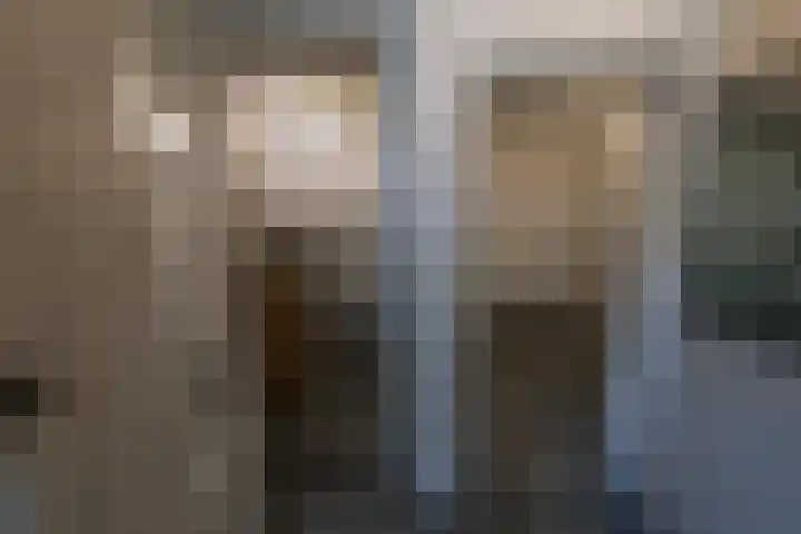 Zuidwending 1 Vriescheloo thumbnail 21