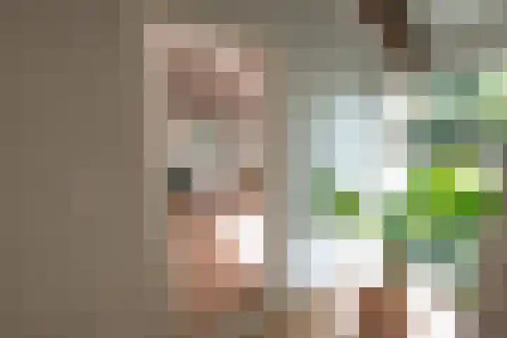Zuidwending 1 Vriescheloo thumbnail 23