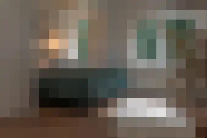 Zuidwending 1 Vriescheloo thumbnail 25