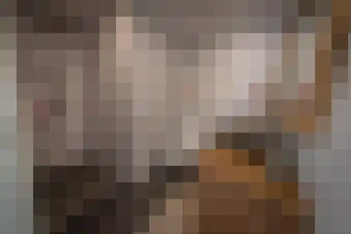 Zuidwending 1 Vriescheloo thumbnail 27