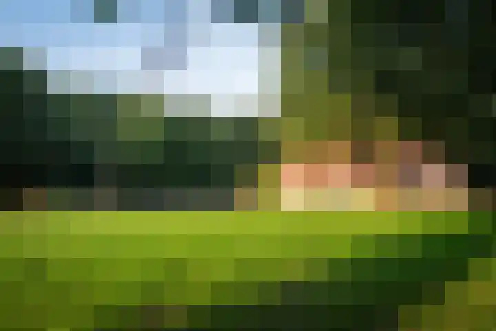 Zuidwending 1 Vriescheloo thumbnail 31