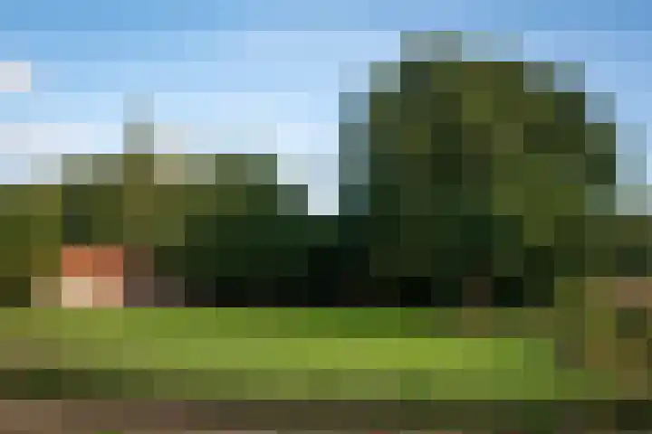 Zuidwending 1 Vriescheloo thumbnail 33