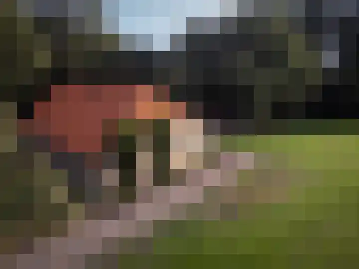 Zuidwending 1 Vriescheloo thumbnail 34