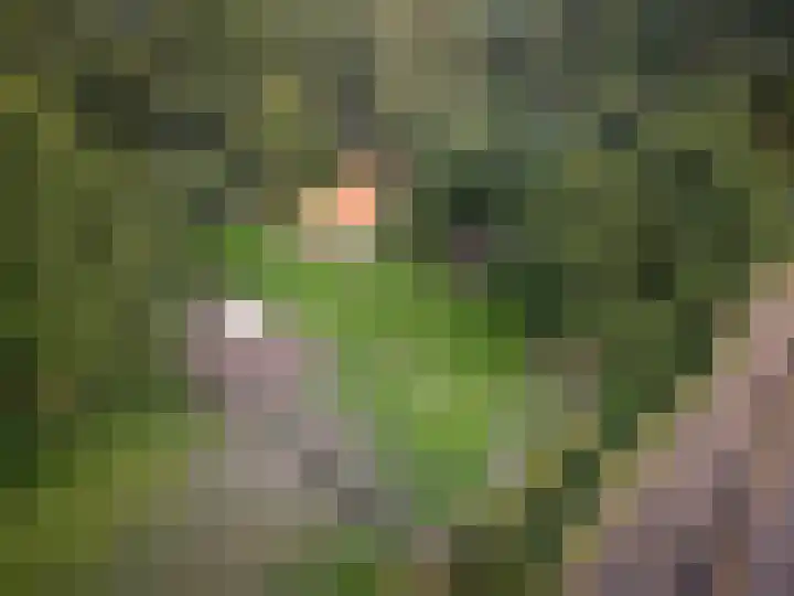 Zuidwending 1 Vriescheloo thumbnail 37