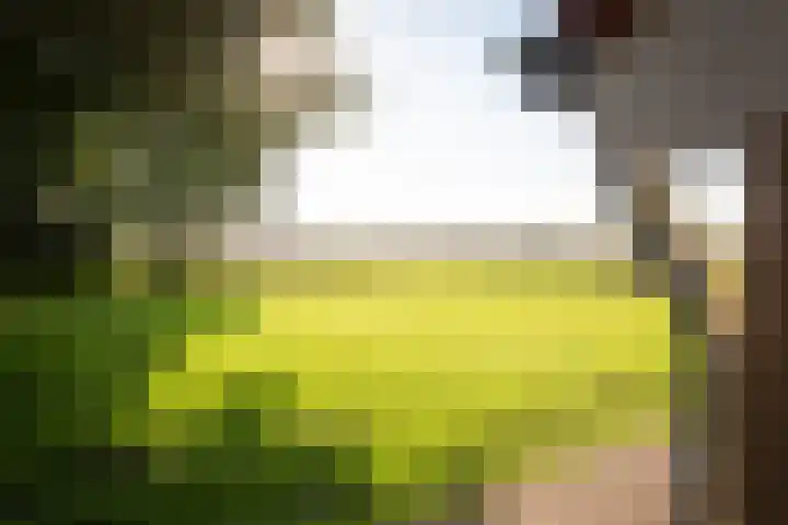 Zuidwending 1 Vriescheloo thumbnail 41