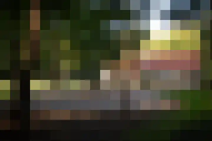 Zuidwending 1 Vriescheloo thumbnail 5