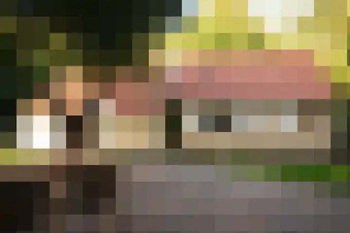 Zuidwending 1 Vriescheloo thumbnail 6