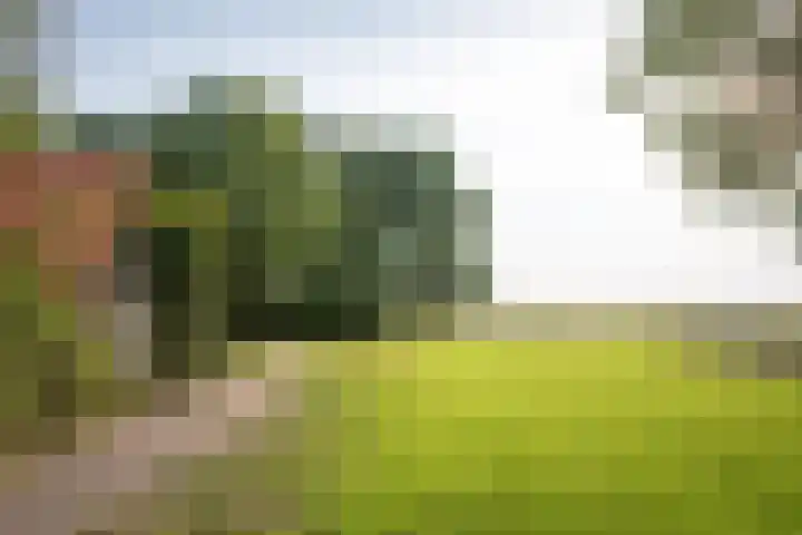Zuidwending 1 Vriescheloo thumbnail 7