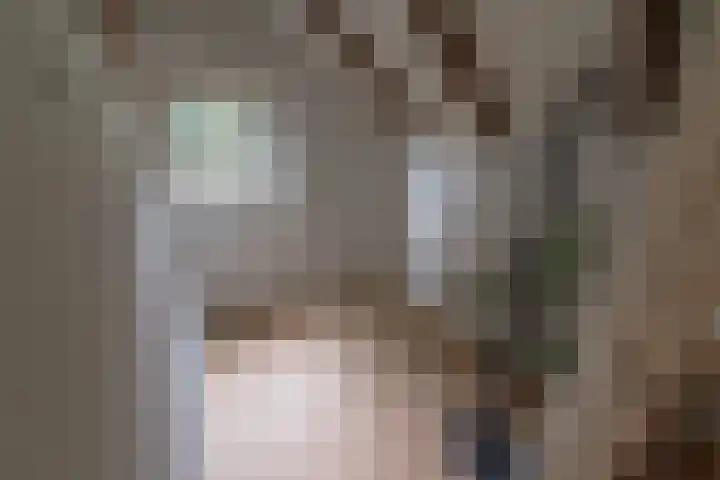 Zuidwending 1 Vriescheloo thumbnail 9