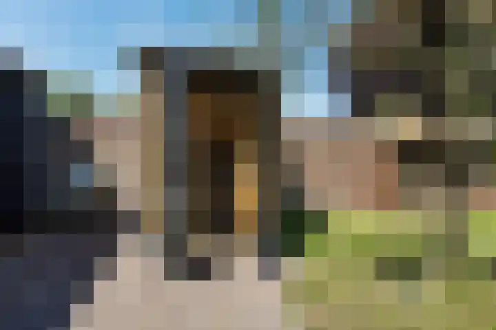 Zuidwending 163 Veendam thumbnail 37