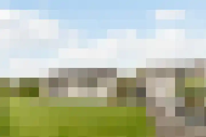 Zuidwijk 45 Boskoop thumbnail 34