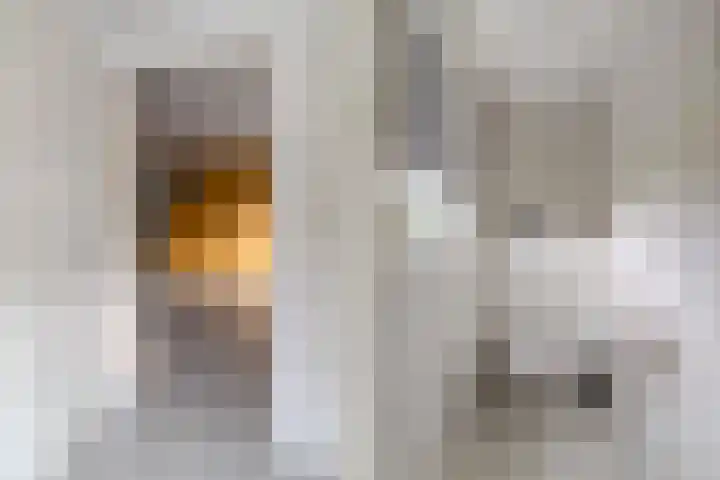 Zuidwijk 45 Boskoop thumbnail 35
